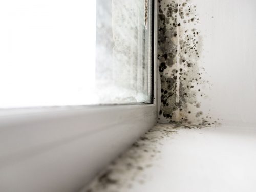 Lüftungsverhalten Fenster - Wohnung richtig Lüften Lüftungsverhalten Fenster - Wohnung richtig Lüften